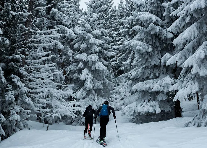 Apartman Haus Taxberg Taxenbach